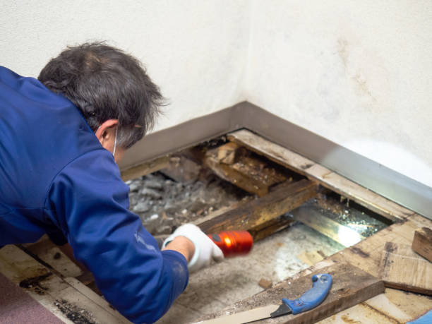 Best Bathroom Mold Remediation in Airmont, NY