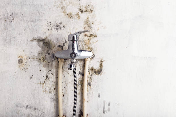 Best Kitchen Mold Remediation in Airmont, NY