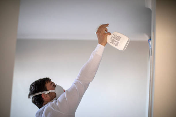 Best Industrial Mold Remediation in Airmont, NY